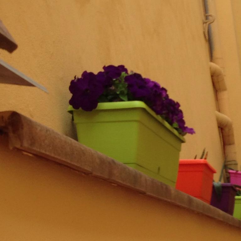Cosy House Bed & Breakfast Florenţa Exterior foto